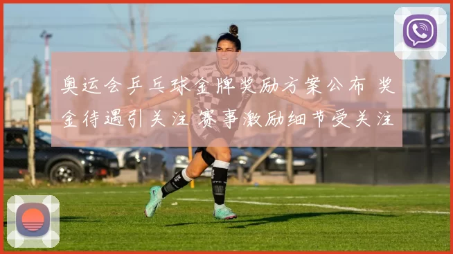 奥运会乒乓球金牌奖励方案公布 奖金待遇引关注 赛事激励细节受关注