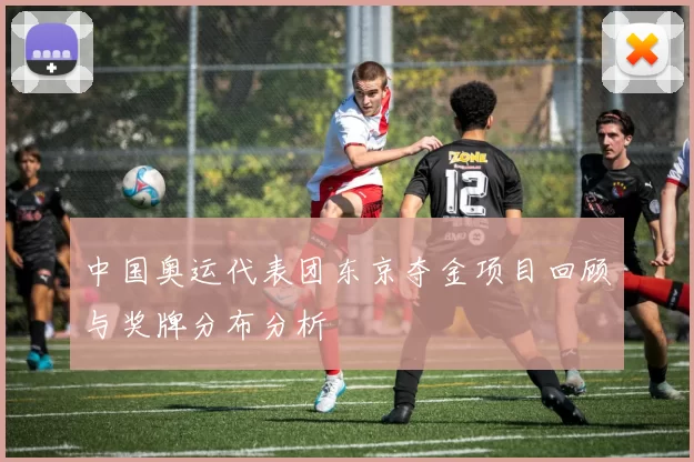 中国奥运代表团东京夺金项目回顾与奖牌分布分析