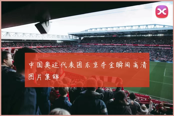 中国奥运代表团东京夺金瞬间高清图片集锦