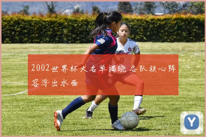 2002世界杯大名单揭晓 各队核心阵容浮出水面